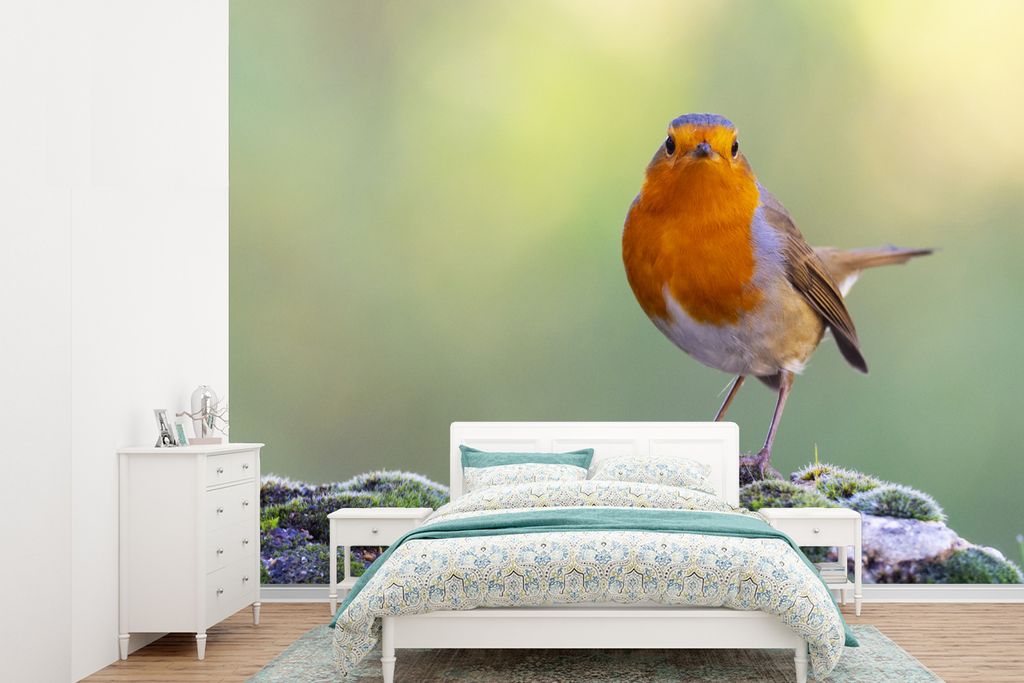 MuchoWow Fototapete für Wohnzimmer oder Schlafzimmer Wandtapete Vinyl Motivtapete Steine - Rotkehlchen - Natur - 360x260 cm - Wohnzimmer tapete