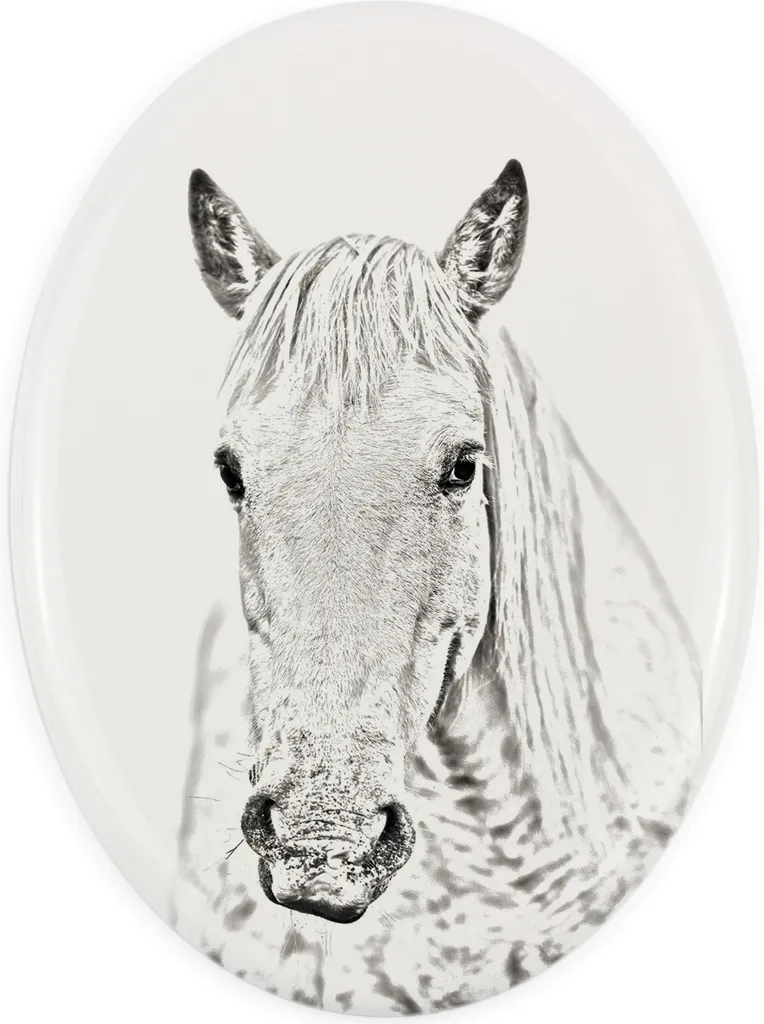 Targa Commemorativa per Cavalli Art-Dog - Personalizzabile