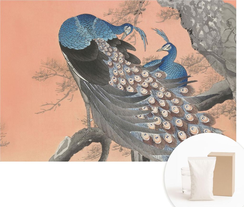 Fototapete - Wandbilder für Wohnzimmer - 152x104 cm - Dekorative Wandfolie - Modernes Design für Wanddekoration - Tapeten für Innenräume - Pfau...