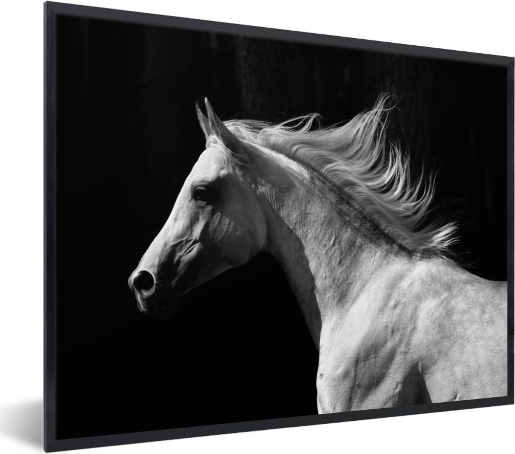 MuchoWow Gerahmtes Poster Pferde - Tiere - Porträt 80x60 cm - Poster mit Schwarzem Bilderrahmen Wandposter Rahmen Foto Bilder - Schwarzem - Mit ...