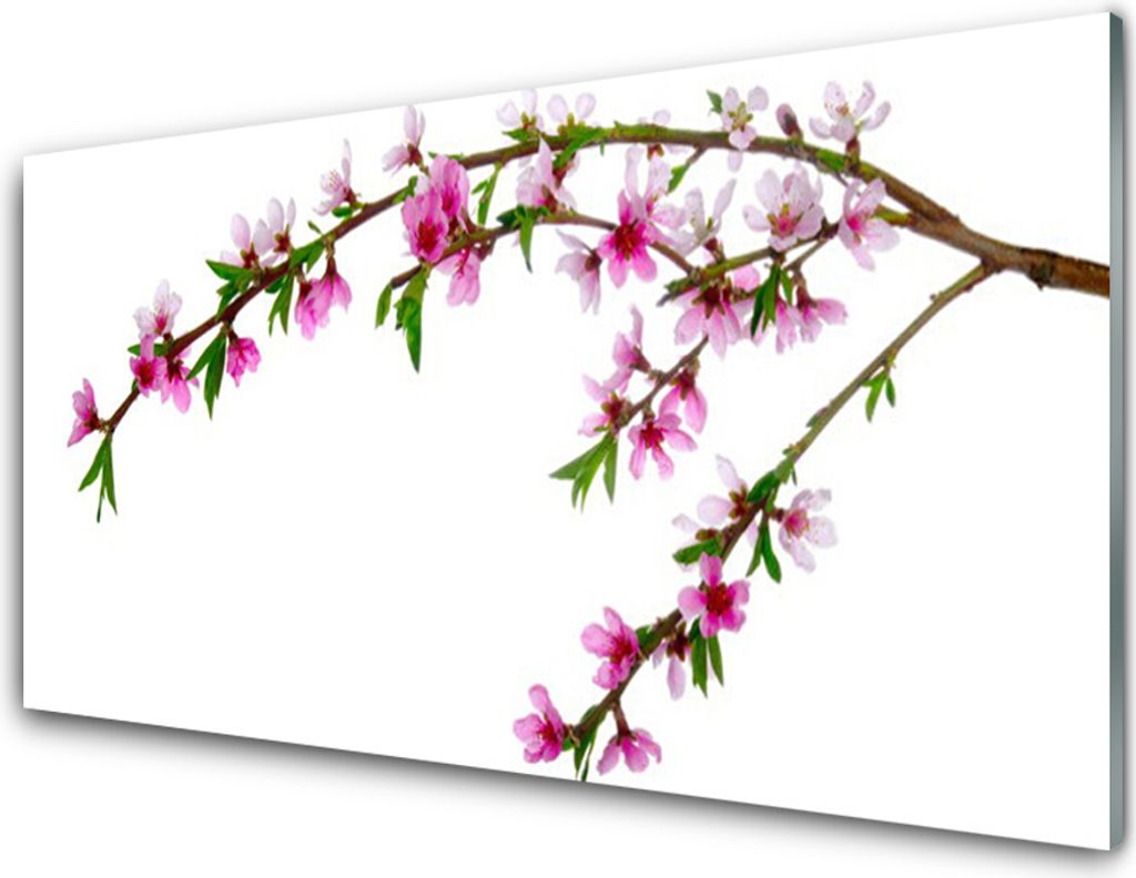 Acrylglasbilder 100x50 Wandbild Druck Zweig Blumen Natur
