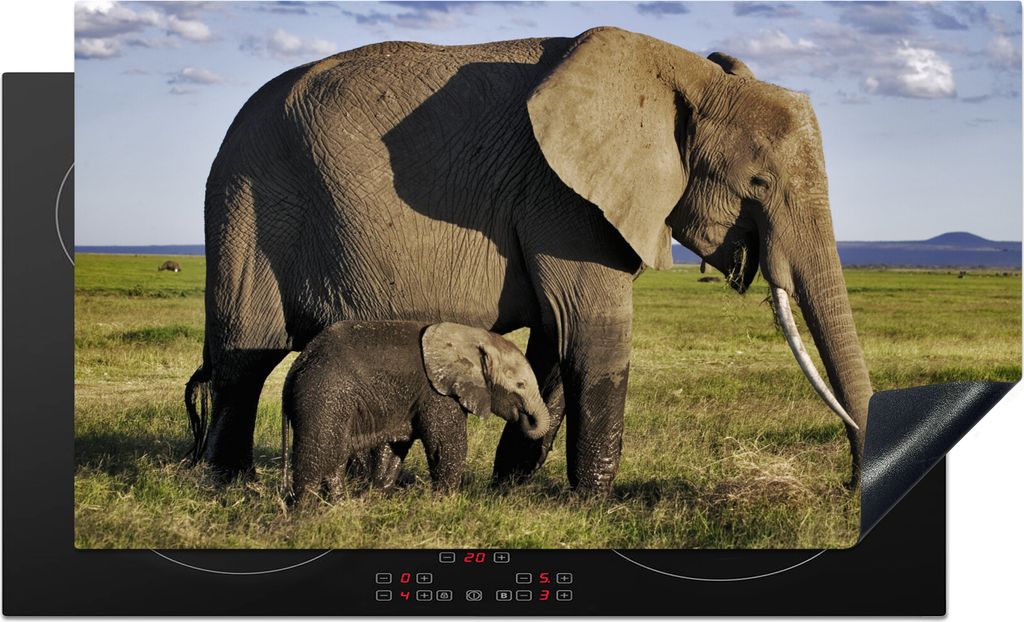 KitchenYeah Herdabdeckplatte Elefant - Tiere - Grasland - Grün - Grau , 90x52cm, Küche Deko, Glaskeramikkochfeld Herdabdeckung, Abdeckplatte f...