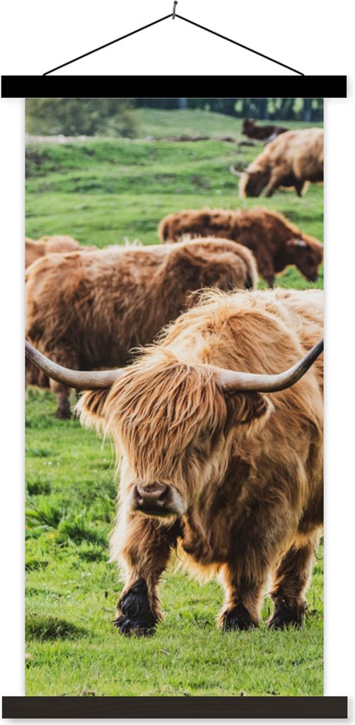 MuchoWow Textilposter Schottische Hochlandrind - Tiere - Gras 90x180 cm mit schwarzem Rahmen - Dekoration Wohnzimmer