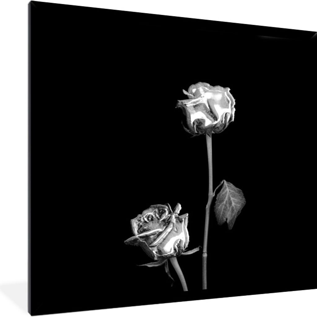 MuchoWow Gerahmtes Poster Rosen - Blumen - Schwarz - Weiß 40x40 cm - Poster mit Schwarzem Bilderrahmen Wandposter Rahmen Foto Bilder - Mit Rahme...