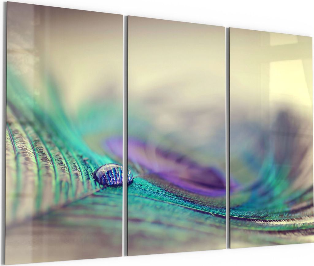 DEQORI Glasbild Echtglas 3x50x100 cm 'Wasserperle auf Feder' Wandbilder XXL groß