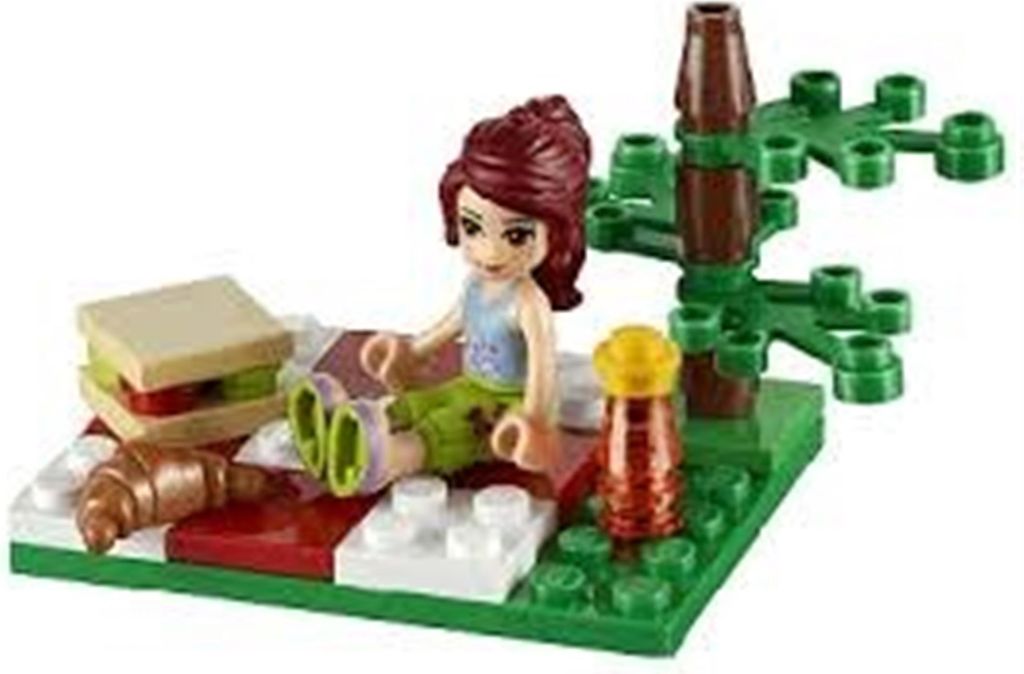 LEGO Friends 30108 Letní piknik