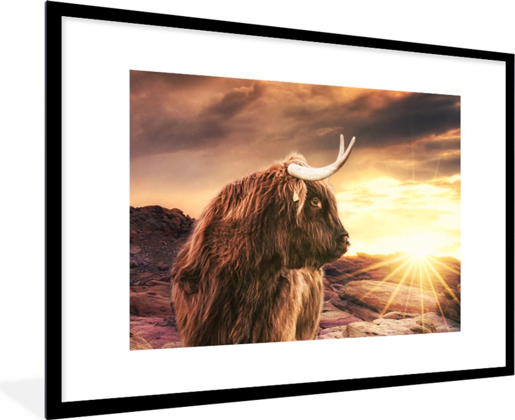 MuchoWow Gerahmtes Poster Schottischer Hochländer - Sonne - Horizont - Kuh - Tiere 90x60 cm - Poster mit Schwarzem Bilderrahmen Wandposter Rahme...