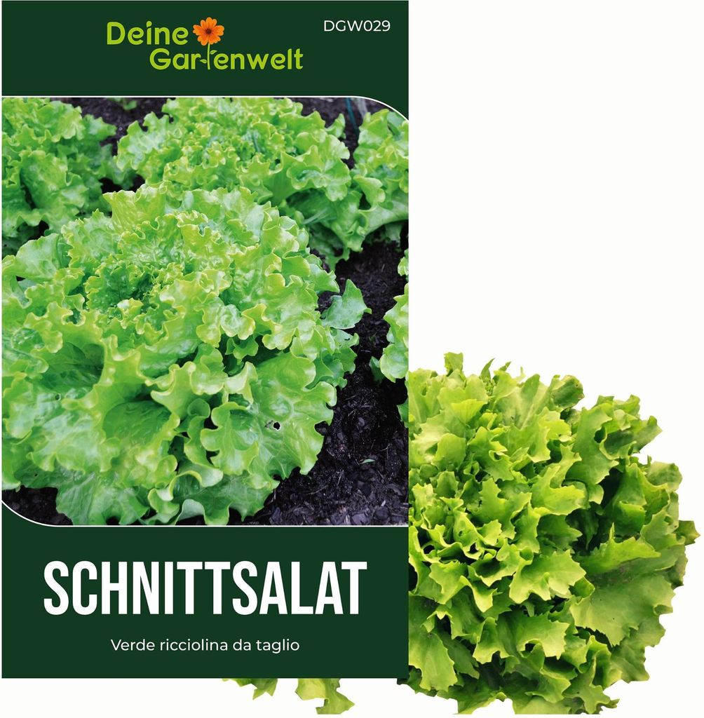 Schnittsalat Verde ricciolina da taglio Samen - Lactuca sativa - Schnittsalatsamen - Gemüsesamen - 3 g Saatgut