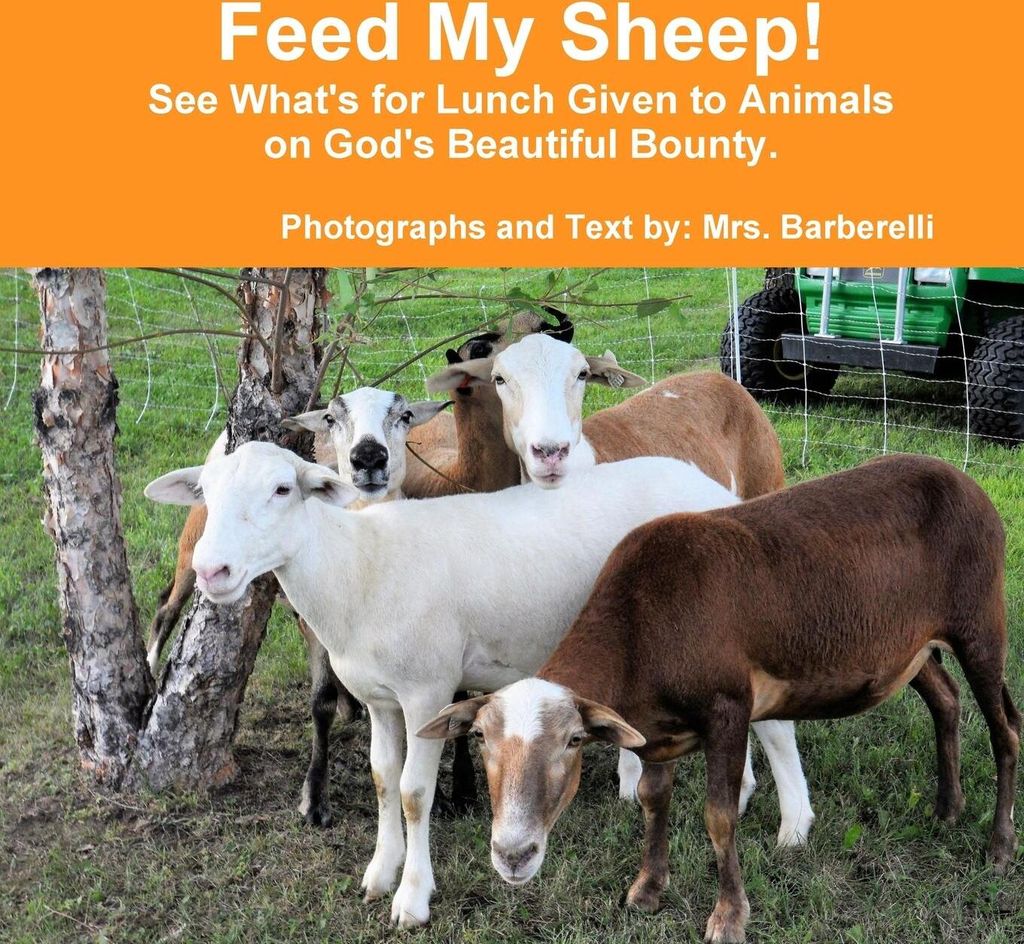 Feed My Sheep! See What's for Lunch Given to Animals on God's Beautiful Bounty