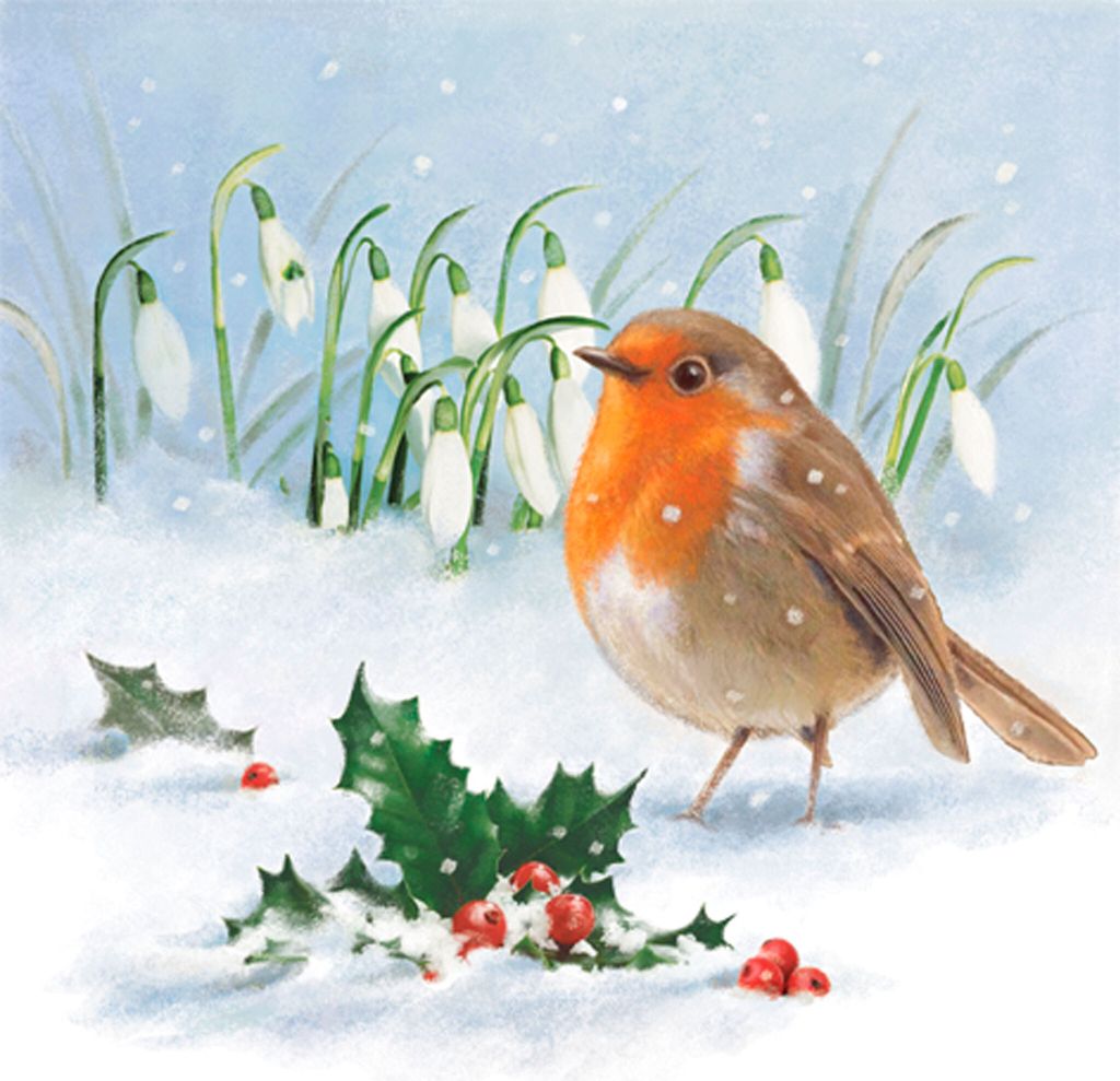 20 Servietten Robin, Holly & Snowdrops - Vogel an Produktbild 