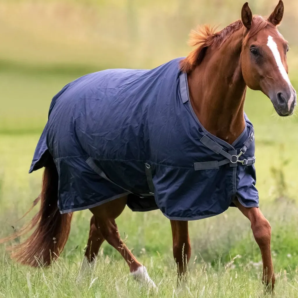 Couverture de Paddock Imperméable Busse Flexible Pro 50g Navy et Gris - 14