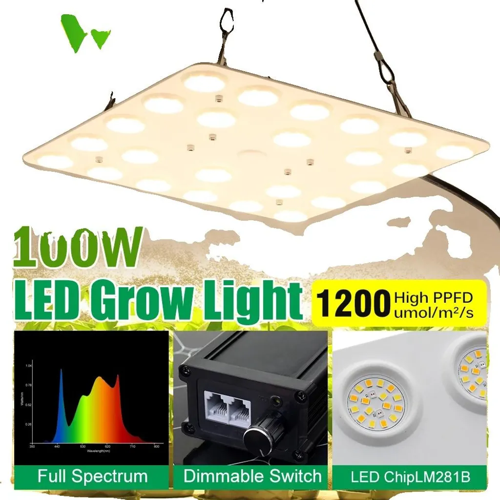 Éclairage horticole LED 100W spectre complet pour plantes vertes EU