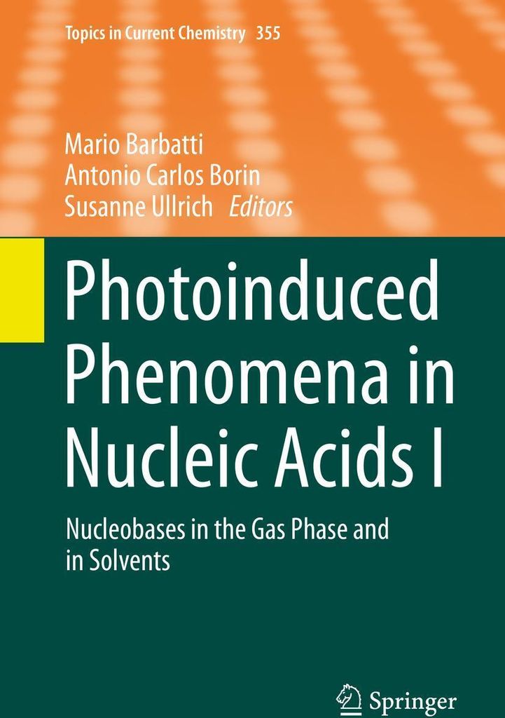 Photoinduced Phenomena in Nucleic Acids I