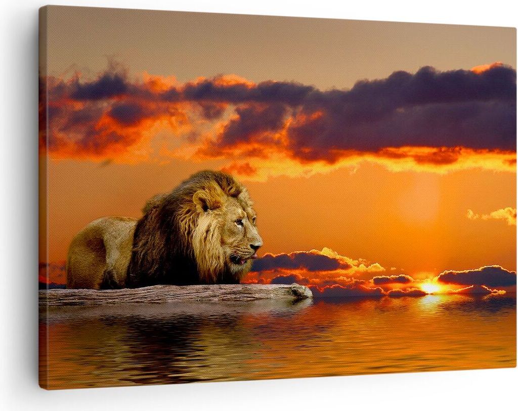 Bild auf Leinwand - Leinwandbild - Löwe Sonne Landschaft - 70x50cm - Wand Bild - Wanddeko - Leinwanddruck - Bilder - Kunstdruck - Wanddekoration -...