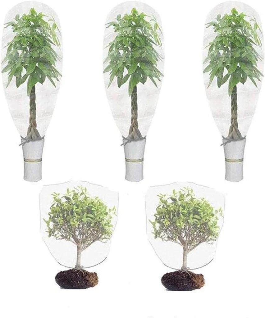 Abri pour plantes et protection contre insectes pour légumes et fleurs