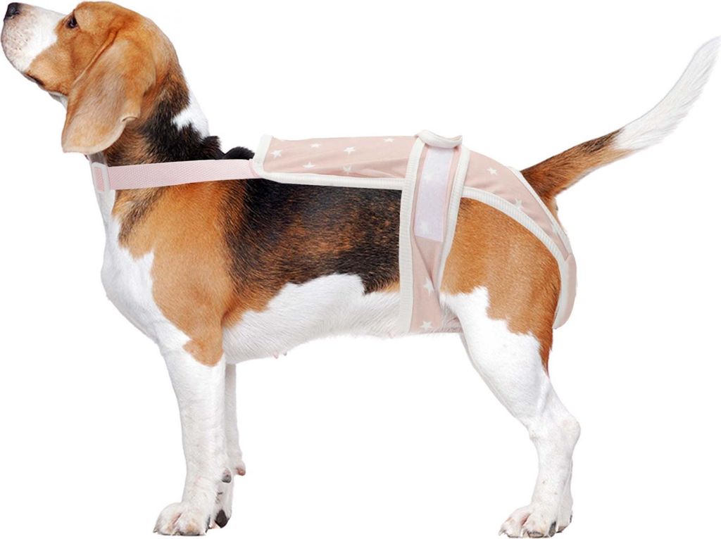 Hundewindeln Für Weibliche Hunde Periodenwindeln Welpen Physiologische Höschen Haustierunterwäsche Waschbare Wiederverwendbare Hosen Mit Verstel...