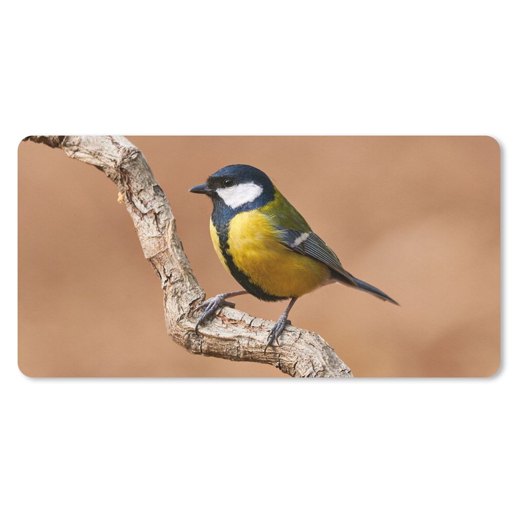 MuchoWow Schreibtischunterlage Vogel - Kohlmeise - Zweige 80x40 cm - XXL Mauspad - Gaming Mauspad