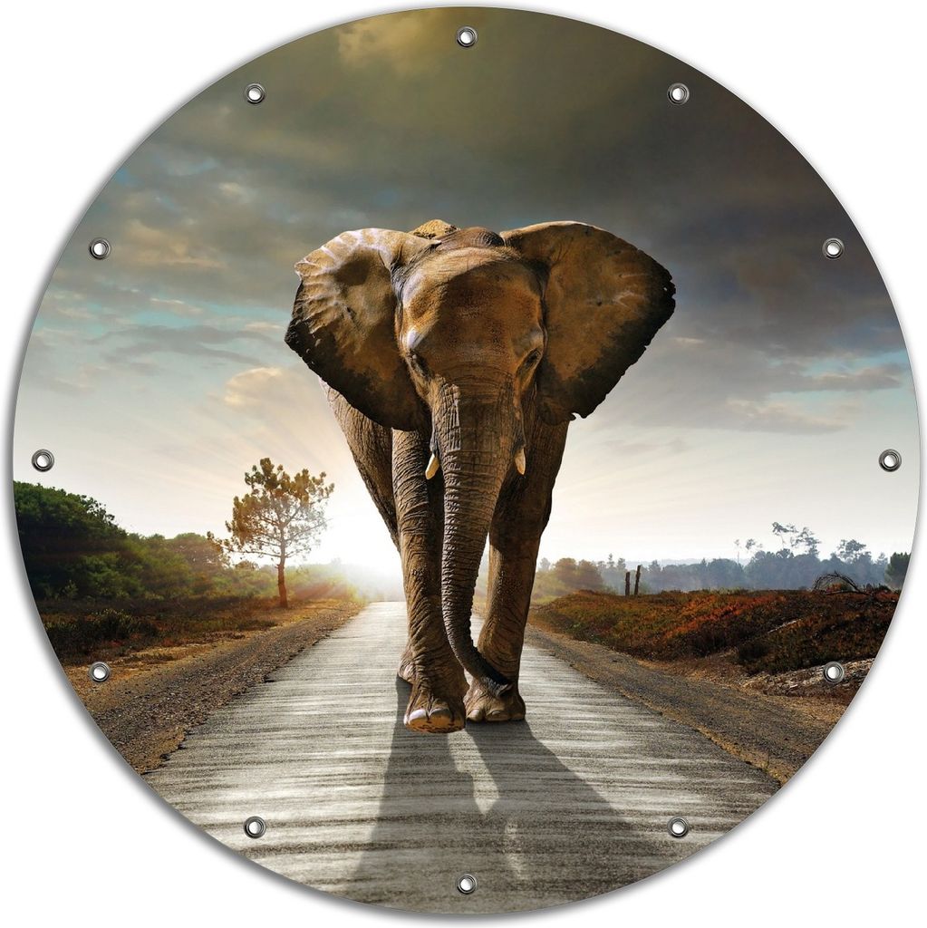 Wallario rundes Outdoor-Poster für Garten oder Balkon, Motiv Elefant bei Sonnenaufgang in Afrika, 90 cm Durchmesser