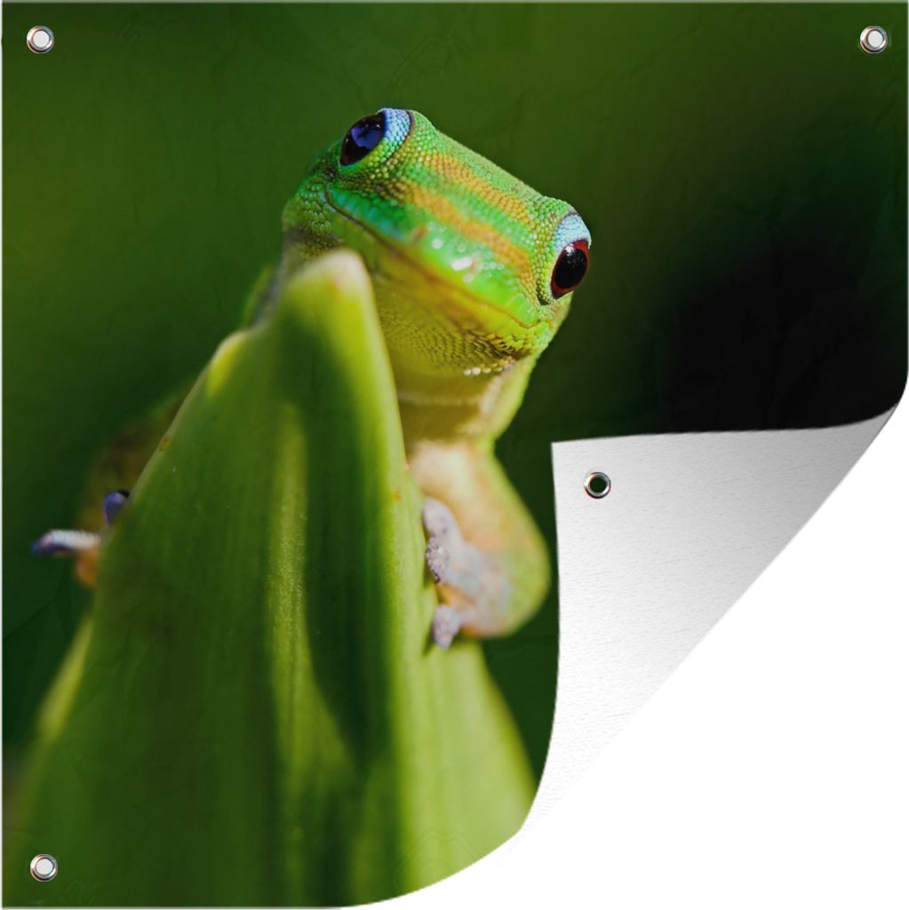 MuchoWow 50x50 cm Outdoor-Poster Gartendeko Sichtschutz Garten Poster für den Garten Verliebter grüner Gecko