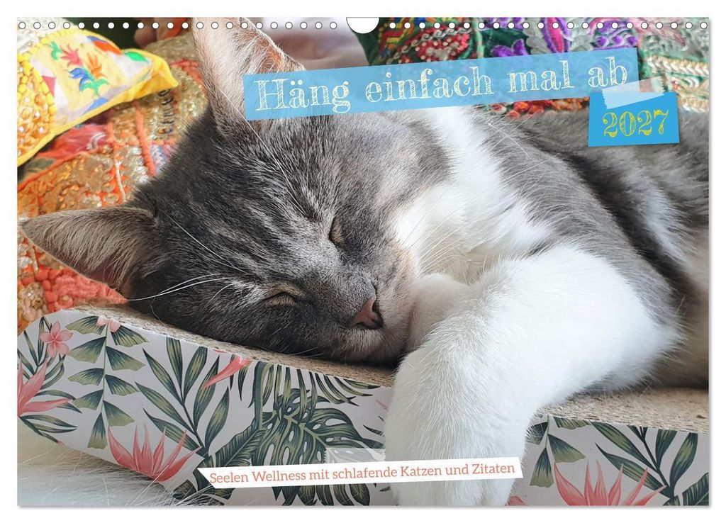 Häng einfach mal ab (Wandkalender 2027 DIN A3 quer), CALVENDO Monatskalender
