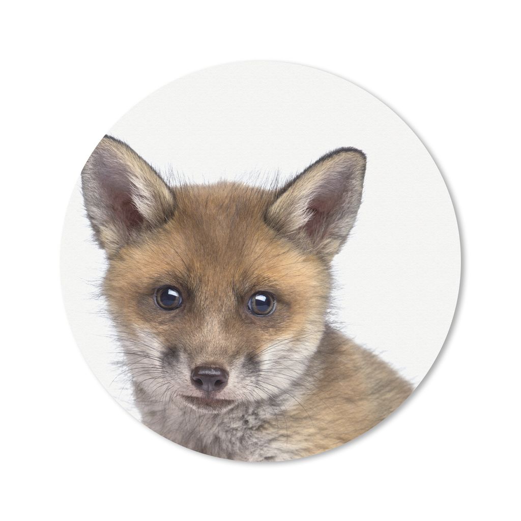 MuchoWow Mauspad Mousepad Fuchs - Tiere - Jungtier - Jungen - Mädchen - Kind 20x20 cm - Mousepads - Maus Mat - Pad - Mausunterlage - Schreibtisc...