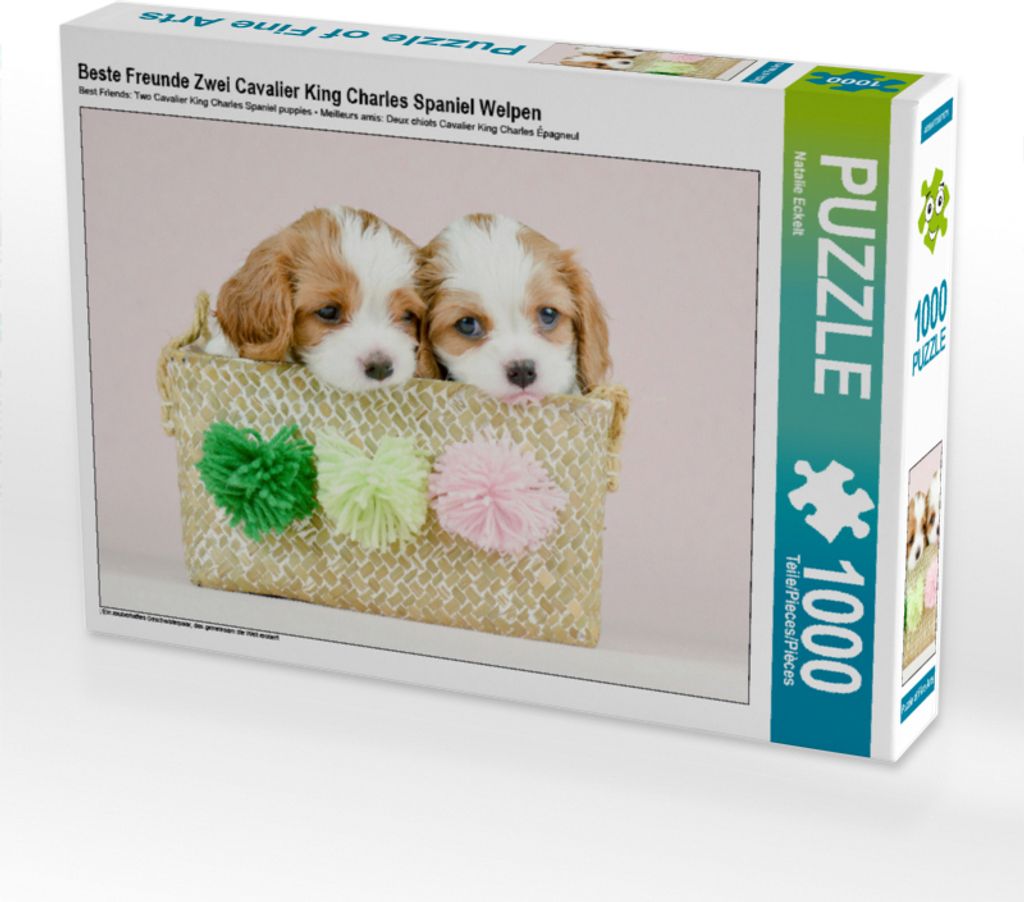 CALVENDO Puzzle Beste Freunde Zwei Cavalier King Charles Spaniel Welpen | 1000 Teile Lege-Größe 64x48cm Foto-Puzzle für glückliche Stunden