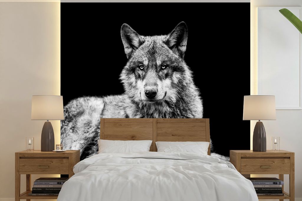 MuchoWow Fototapete für Wohnzimmer oder Schlafzimmer Wandtapete Vinyl Motivtapete Wildlife - Wolf - Schwarz - Weiß - 240x240 cm - Schlafzimmer-...