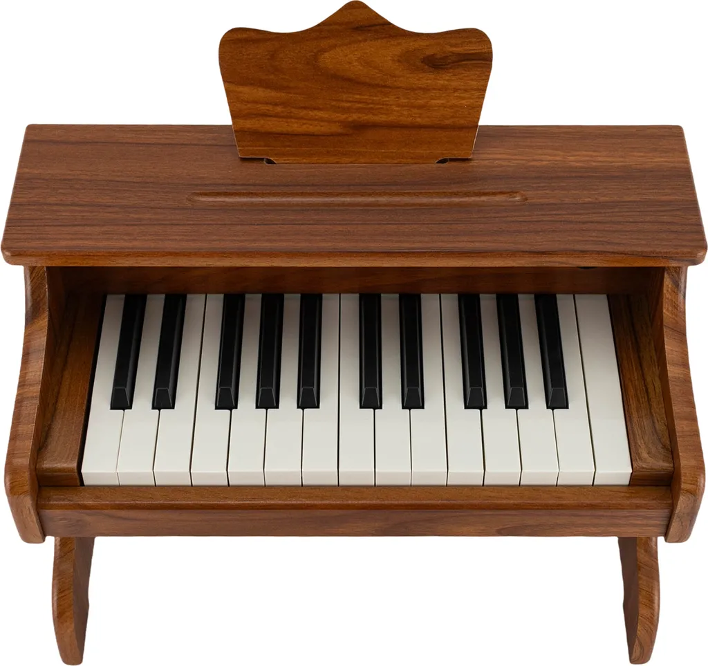 Apprendre le piano facilement : Modèle bois 25 touches pour débutant