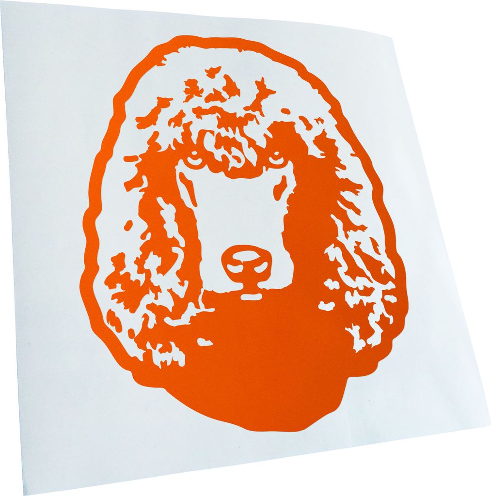 Kiwistar - Autoaufkleber - irish water spaniel Hund - Orange - 40x33cm - Aufkleber für Auto, Laptop, Fahrrad, LKW, Motorrad mehrfarbig JDM Decal R...