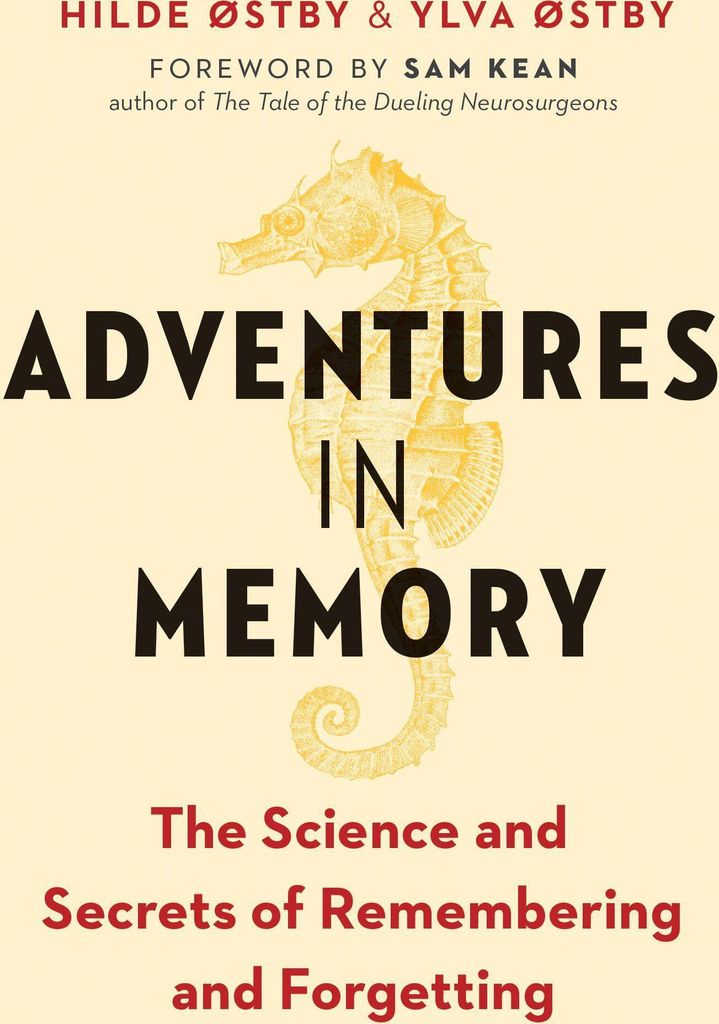 Adventures in Memory | Hilde Ostby