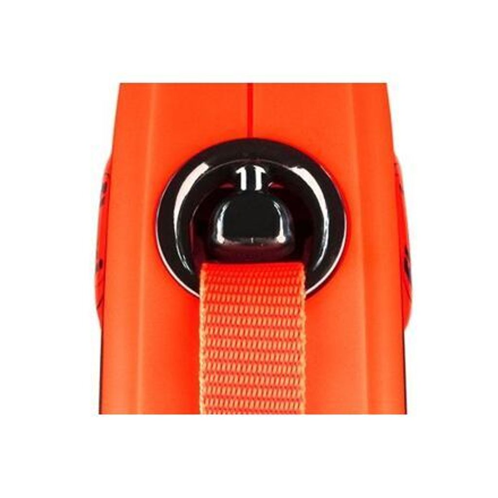 Flexi Rollleine XTREME Gurt - 8m / bis 55 kg Produktbild 6