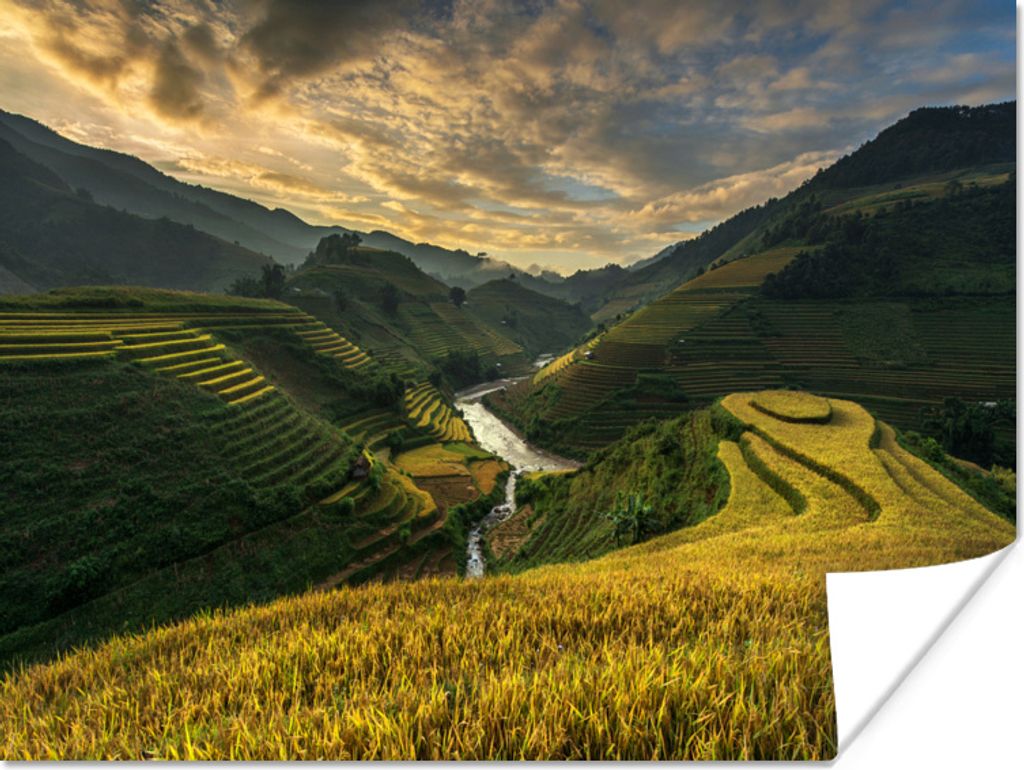 MuchoWow Poster Reisfelder in Vietnam 40x30 cm - Plakate für die Wände - Poster Wohnzimmer