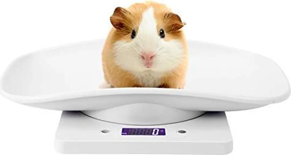 Bilancia Digitale Animali Piccoli 10kg/1g | Monitoraggio Peso Gatti e Cani