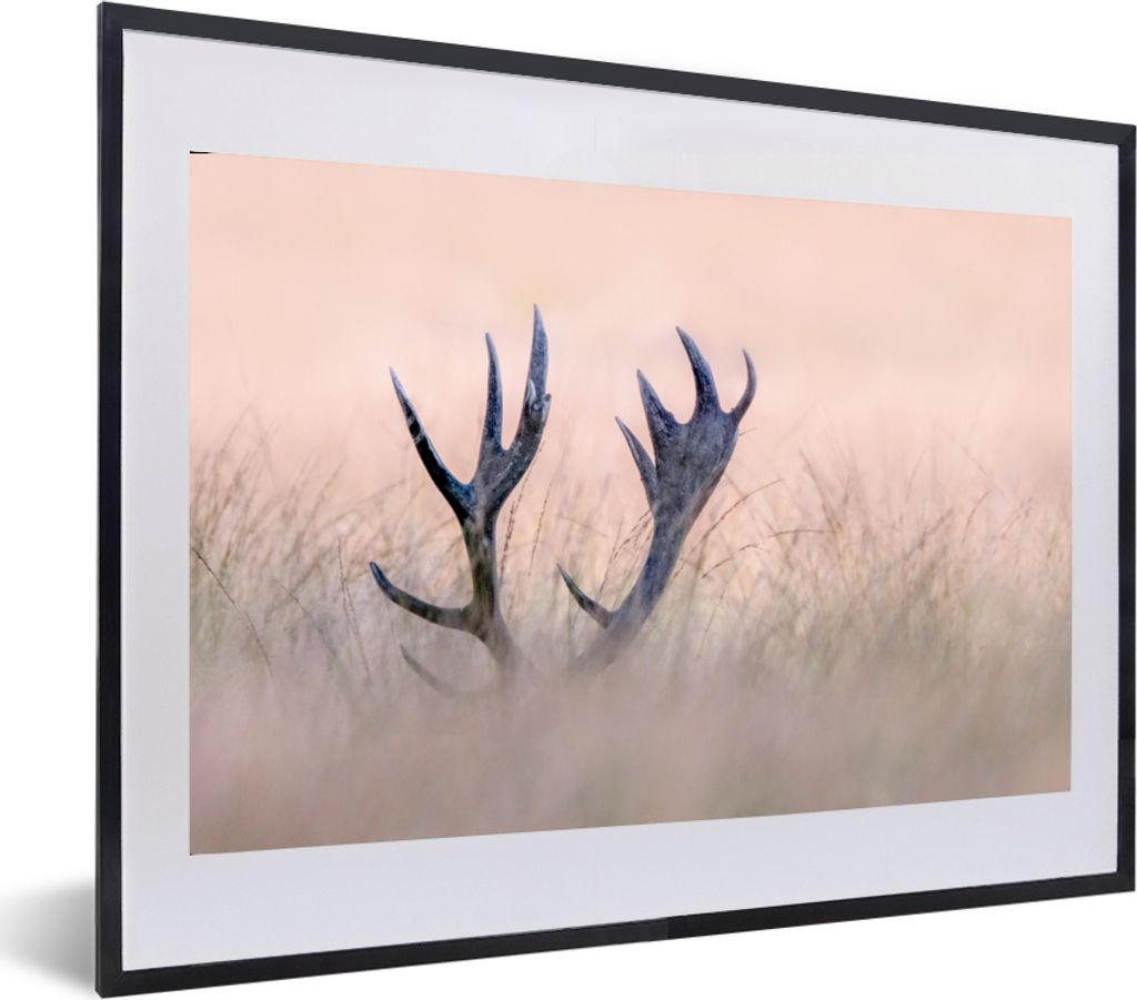 MuchoWow Gerahmtes Poster Geweih - Hirsch - Gras - Natur 60x40 cm - Poster mit Schwarzem Bilderrahmen Wandposter Rahmen Foto Bilder - Schlafzimme...