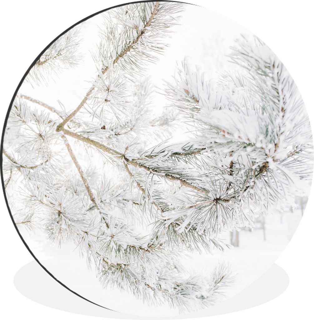 MuchoWow Aluminium Wandkreis Winter - Äste - Schnee Ø 30 cm Wanddeko Modern Wohnzimmer - Wand Bild - Wohnzimmer - Runde Bilder - Alubilder - Ku...