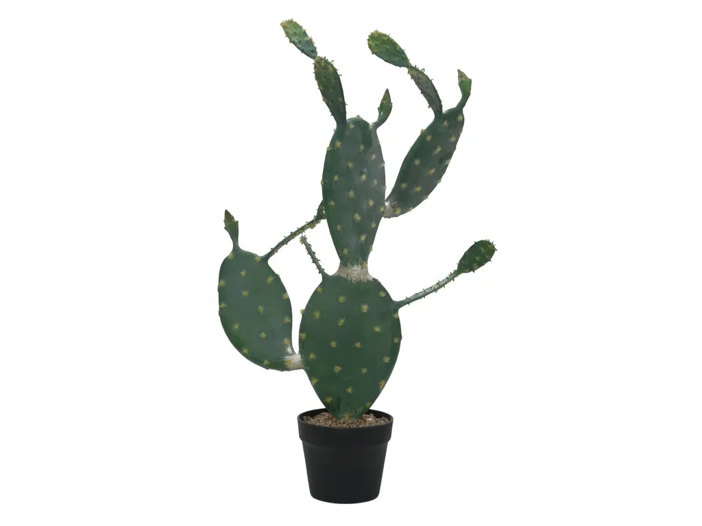 Plante artificielle Cactus à feuilles 76cm pour décoration intérieure