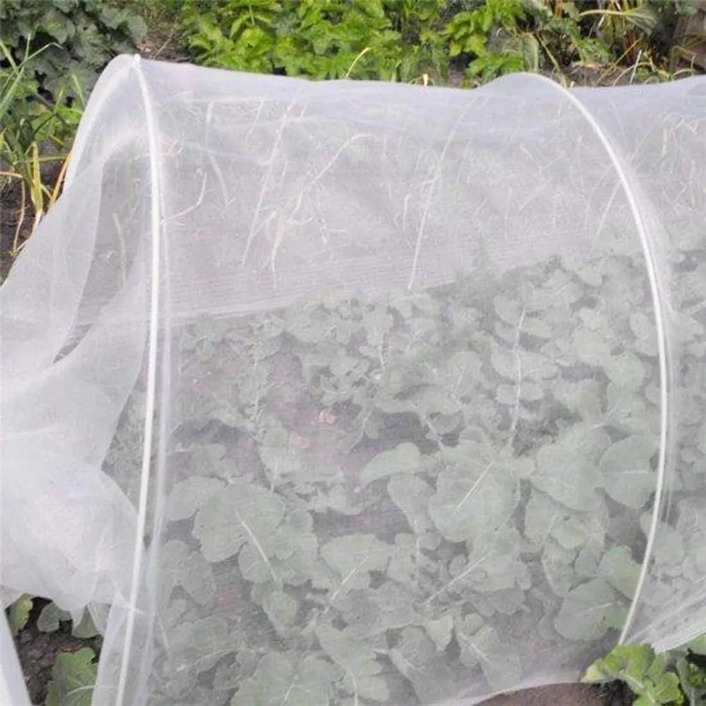 Filet phytosanitaire à mailles fines 3 x 10 m pour protéger le potager