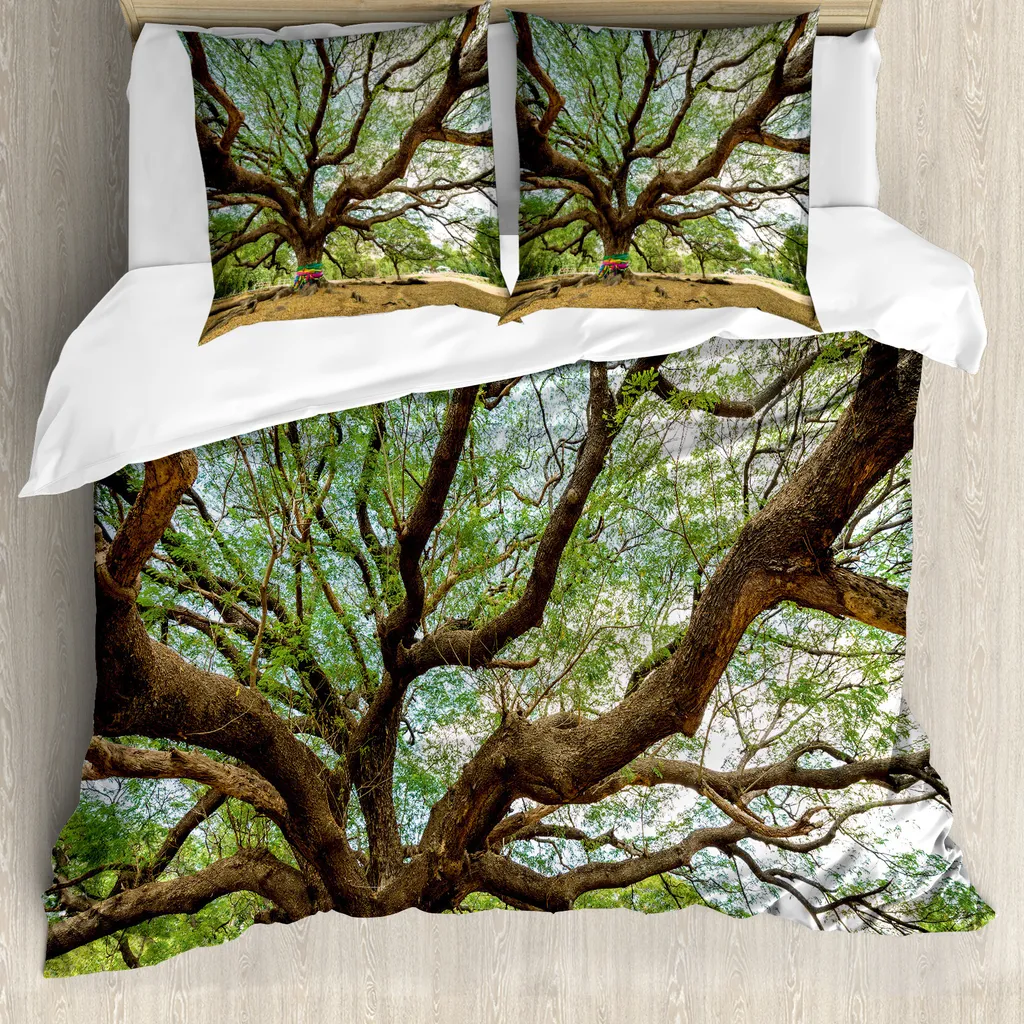 ABAKUHAUS Copripiumino naturale, Big Regen-Baum Thailandia, antiacaro, adatto a chi soffre di allergie, con federe, 155 cm x 220 cm - 80 x 80 cm, marrone verde