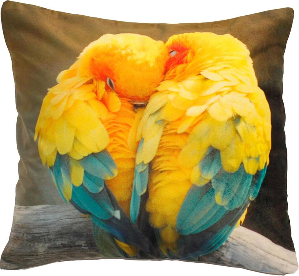 Kissenbezug Fotodruck Sittiche 40x40 Kurzplüsch Deko Kissen wild life Kissenhülle