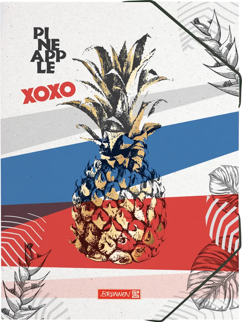 Dossier Rigide Ananas BRUNNEN 1047053651 avec Trois Rabats de Protection