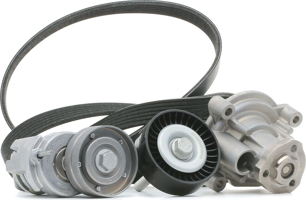 RIDEX 4172P0055 Wasserpumpe + Keilrippenriemensatz für VW Golf V Schrägheck (1K1) POLO (9N) Polo Schrägheck (6R1, 6C1) TOURAN (1T1, 1T2) GOLF PLUS