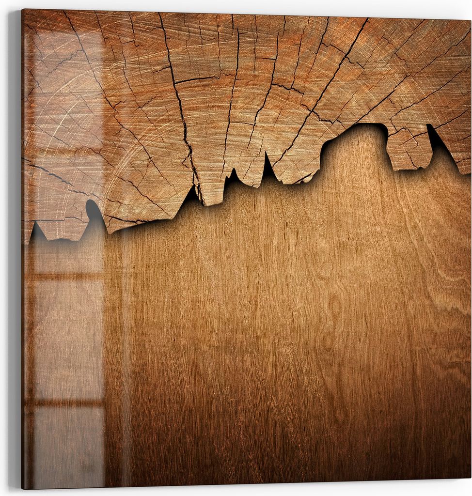 DEQORI Magnettafel Glas 50x50 cm 'Baumzeitzeugen' beschreibbar Whiteboard Pinnwand Küche