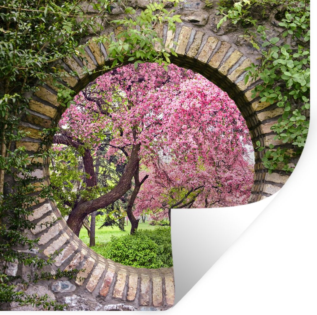 MuchoWow Wandtattoo Wandsticker Wandaufkleber Transparent - Sakura - Blüte - Japanisch 50x50 cm Selbstklebend und Repositionierbar - Selbstklebe...