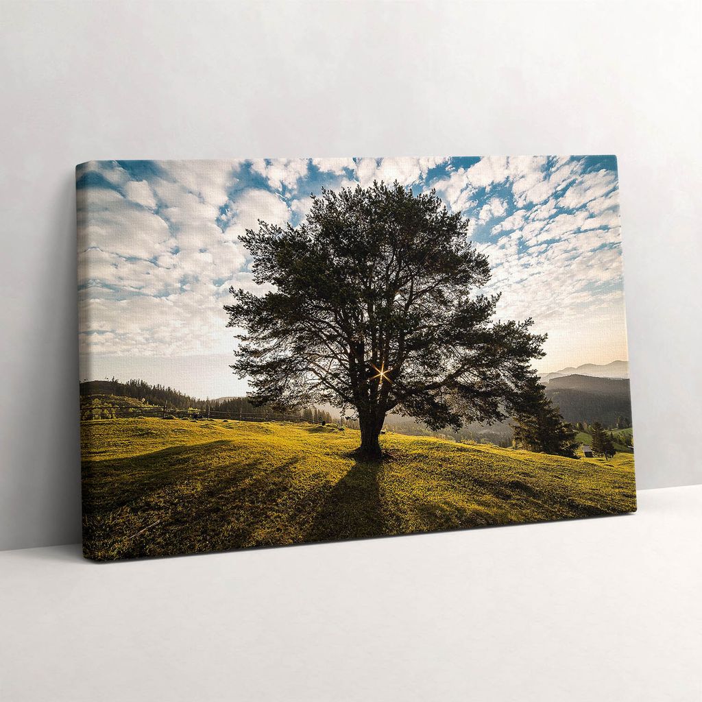 Ein Laubbaum auf einem Hügel – Leinwandbild Wandbild – 60x40 cm – Leinwandbilder – Wandbilder – Schlafzimmer – Flur