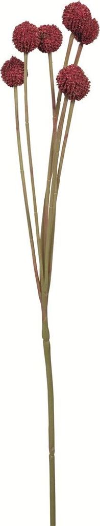 Fink CRASPEDIA, Kunstblume, Kunstfasern, dunkelrot, L. 10 cm, B. 10 cm, H. 60 cm 181008