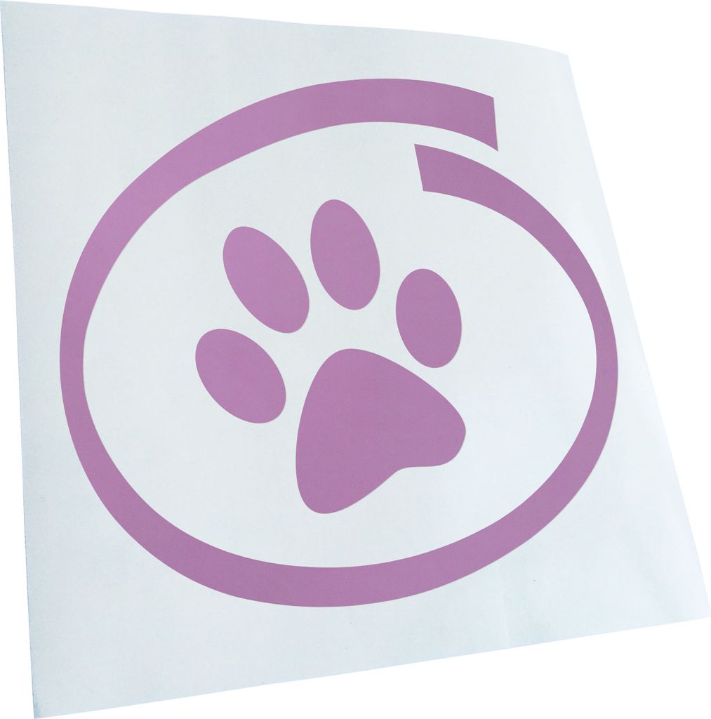 Kiwistar - Autoaufkleber - Fahren Sie Mir Ruhig Rein - Neon Matt - Aufkleber für Auto Kfz Fahrrad, LKW, Truck Mofa