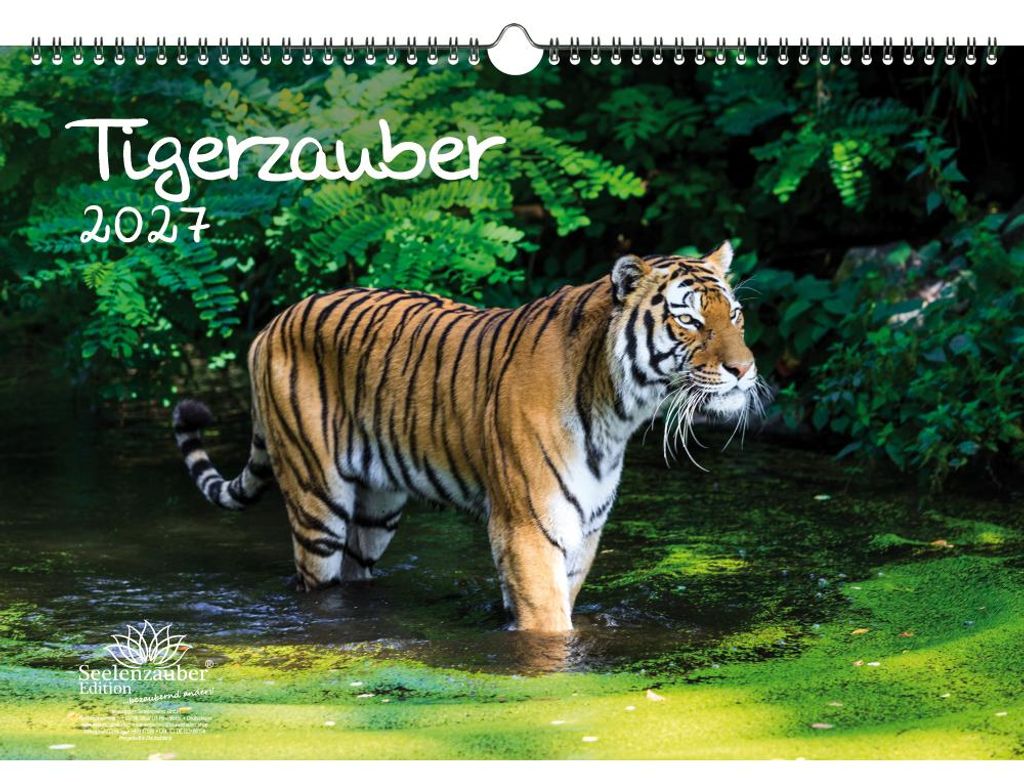 Tigerzauber DIN A3 Kalender für 2027 Tiger - Seelenzauber
