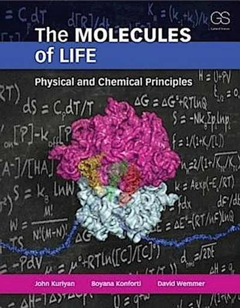 The Molecules of Life