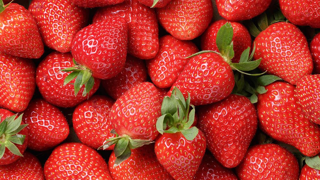 Universaldünger Gartendünger Volldünger Gemüsedünger Obst Produktbild 4