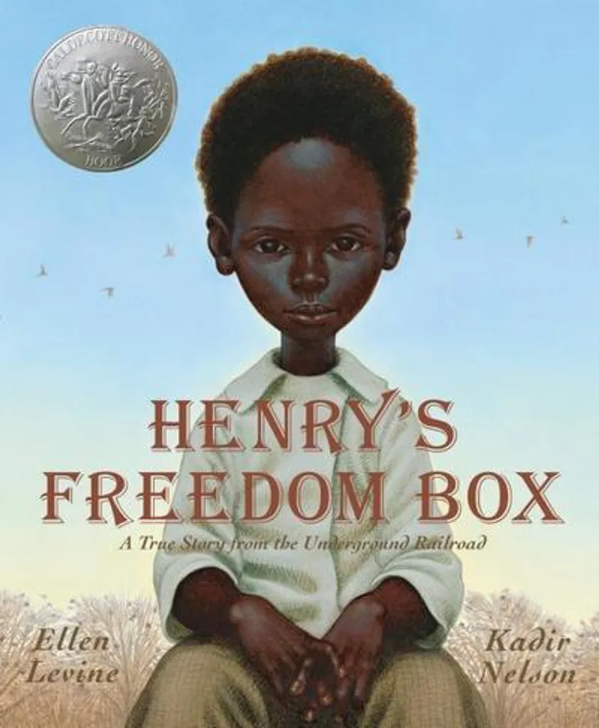 Henrys Freedom Box - Boîte de rangement sécurisée avec serrure à code